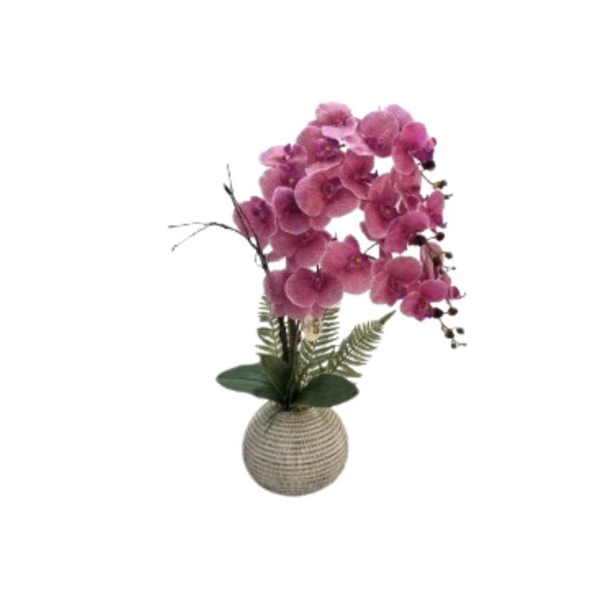 ⁦עציץ סחלב 70 ס"מ⁩ – תמונה ⁦2⁩